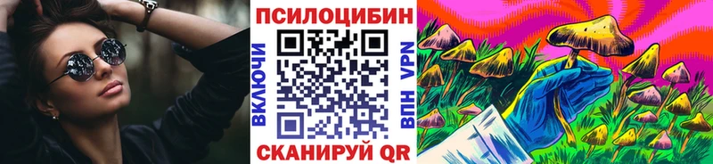 закладки  Ладушкин  Галлюциногенные грибы Psilocybe 